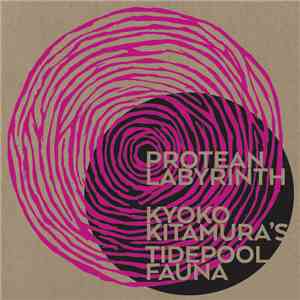 Kyoko Kitamura - Protean Labyrinth download flac