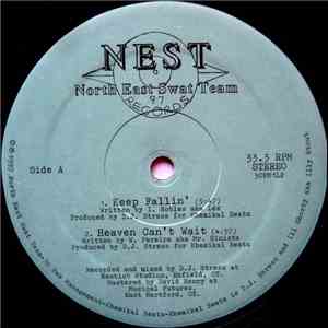 North East Swat Team - Keep Fallin' download flac