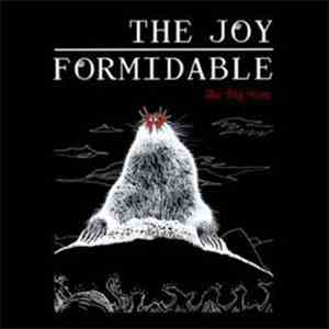 The Joy Formidable - The Big More download flac