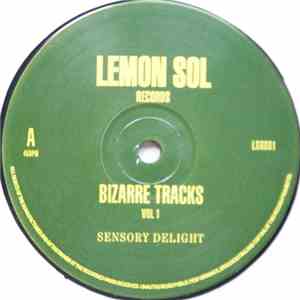 Bizarre Tracks - Bizarre Tracks Vol 1 download flac