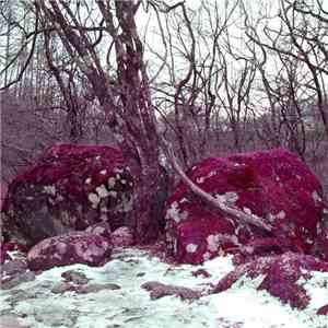 Jim O'Rourke - Steamroom 33 download flac