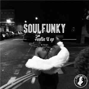 Soulfunky - Feelin U EP download flac
