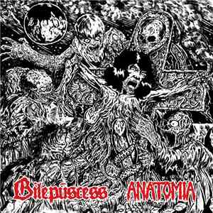 Anatomia / Bilepuscess - Anatomia / Bilepuscess download flac
