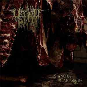 Deformed Slut - Stench Of Carnage download flac