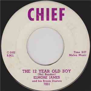 Elmore James And His Broom Dusters - The 12 Year Old Boy / Coming Home download flac