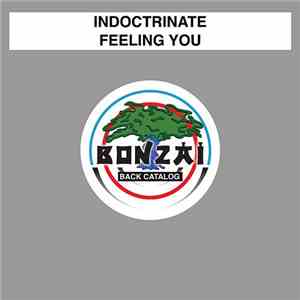 Indoctrinate - Feeling You download flac
