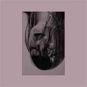 Reeko - For The Right Hemisphere Brain Damage download flac