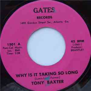 Tony Baxter - Why Is It Taking So Long / Let The Past Be The Past download flac
