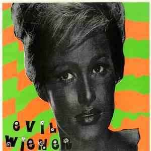 Evil Wiener - We're Both Crazy download flac