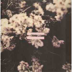 Gemma Hayes - Night On My Side download flac