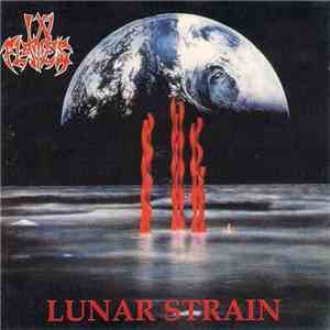 In Flames - Lunar Strain download flac