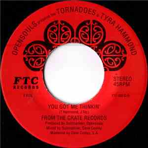 The Tornadoes  & Tyra Hammond - You Got Me Thinkin' / Huihui download flac