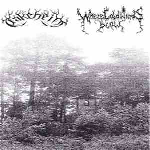Tåkeheim / Where Cold Winds Blow - Split download flac