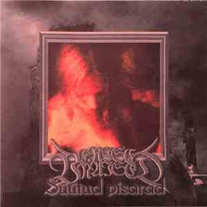 Verised Naised - Süütud pisarad download flac