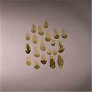 Gaiser - Unstable Static download flac