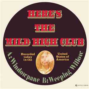 The Mild High Club - Windowpane / Weeping Willow download flac