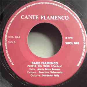 Various - Baile Flamenco download flac