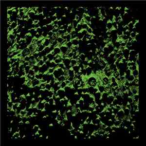 Andy Rantzen - 1/66 download flac