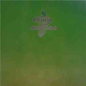 Boris  With Merzbow - Walrus / Groon download flac