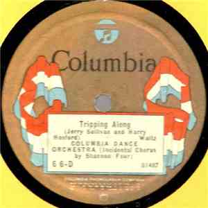 Columbia Dance Orchestra - Tripping Along / Mickey Donohue download flac
