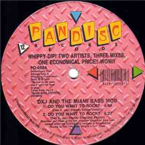 DXJ And The Miami Bass Mob / The Latin Maggots - Do You Want To Rock / Uh Uno Tres Four download flac