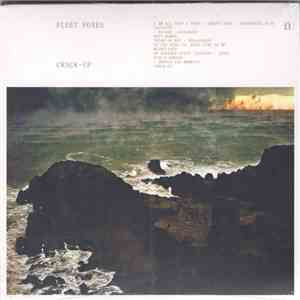 Fleet Foxes - Crack-Up download flac