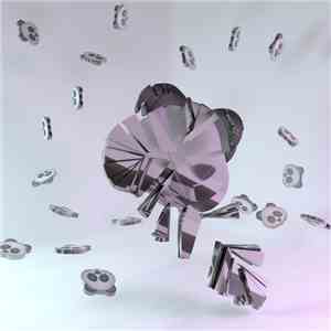 PPR Panda - Rn.wav download flac