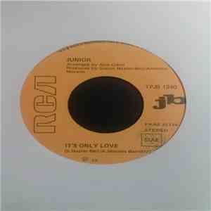 Junior  / Big Baboon Band - It's Only Love / Baboo Baboon download flac