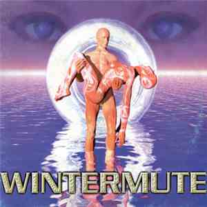 Wintermute - In Your Eyes download flac