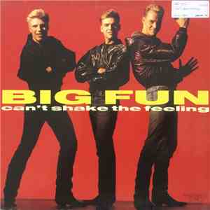 Big Fun - Can't Shake The Feeling download flac