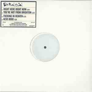 Fatboy Slim - Right Here, Right Now download flac