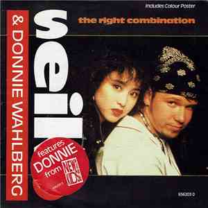 Seiko & Donnie Wahlberg - The Right Combination download flac