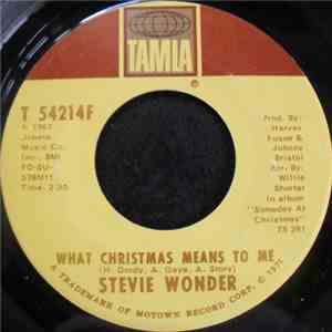 Stevie Wonder - What Christmas Means To Me / Bedtime For Toys download flac
