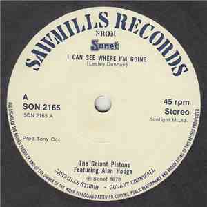 The Golant Pistons Featuring Alan Hodge - I Can See Where I'm Going download flac