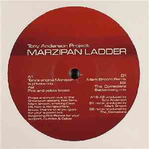Tony Anderson Project - Marzipan Ladder download flac