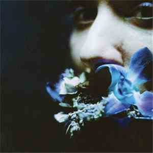 Circuit Des Yeux - Reaching for Indigo download flac