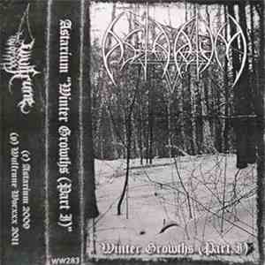 Astarium - Winter Growths (Part I) download flac