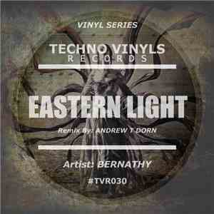 Bernathy Zsiga - Eastern Light download flac