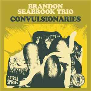 Brandon Seabrook Trio - Convulsionaries download flac