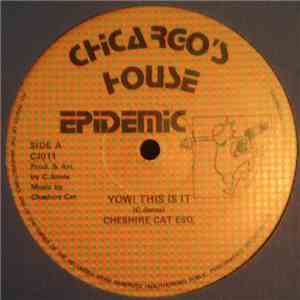 Cheshire Cat Esq - Yow! This Is It download flac