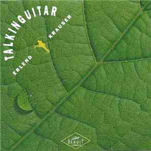 Erlend Krauser - Talkin Guitar download flac