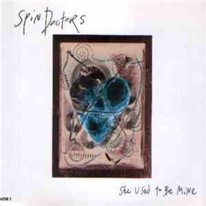 Spin Doctors - She Used To Be Mine download flac