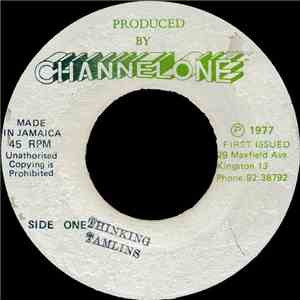 Tamlins - Thinking download flac