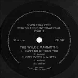 The Wylde Mammoths - I Can't Go Without You download flac