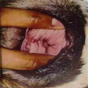 Dog With A Big Fat Fucking Red Boner - D.W.A.B.F.F.R.B. download flac