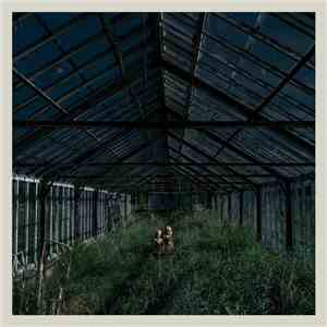 Foxing - Dealer download flac