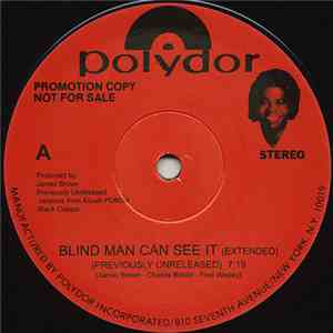 James Brown - Blind Man Can See It download flac