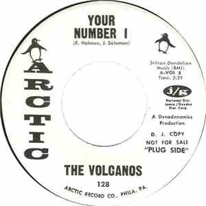 The Volcanos  - You're Number 1 download flac