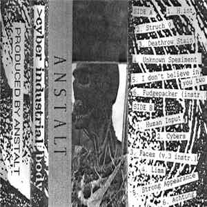 Anstalt - Cyber Industrial Body download flac