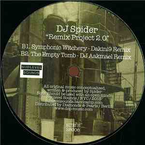 DJ Spider  - Remix Project 2.0 download flac